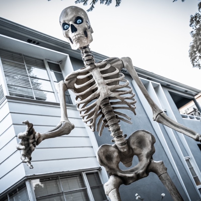 If You’ve Got It, Haunt It: How We Decorated the Building for Halloween This Year